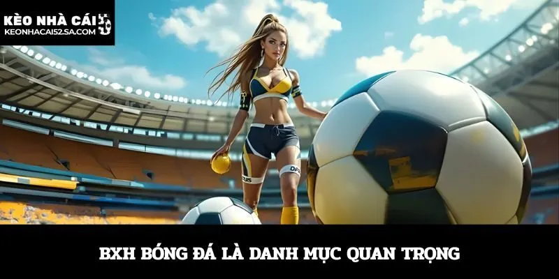 BXH bóng đá là danh mục quan trọng